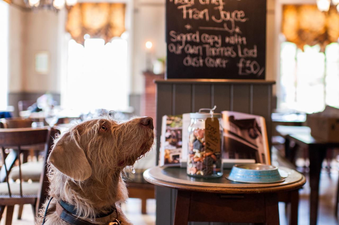 The Thomas Lord Hotel West Meon ภายนอก รูปภาพ